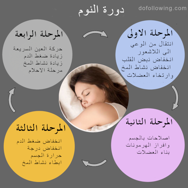 REM مرحلة نوم حركة العين السريعة